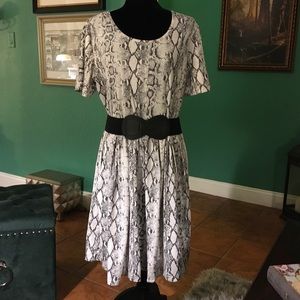 Ladies snake print dress with pockets.